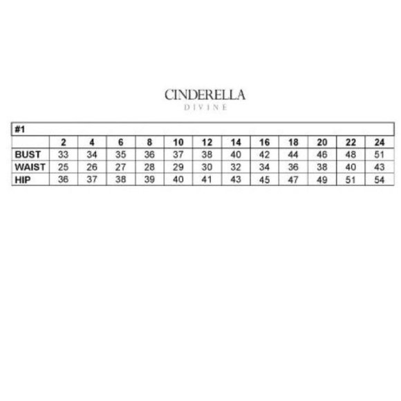 Cinderella RHINESTONE STRETCH SATIN GOWN Multi Sizes KV1063 - Picture 2 of 2